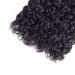 Amella Hair Wet And Wavy Human Hair Bundle - 20 Inches 100% Unprocessed Brazilian Virgin Water Wave - Natural Black Color - Can Be Dyed - Tight and Neat - 20 Inch Water Wave Hair Bundle - Buy Online on GoSupps.com