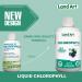 Liquid Chlorophyll Unflavoured 5X Concentrated 500ml Cold Extracted from Non-GMO Alfalfa - Detox - Alkaline - Natural Body Deodorant Antioxidant - Made in Canada - Buy Online on GoSupps.com