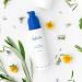 Kosterina Extra Virgin Daily Face Moisturizer | Hydrating & Soothing Natural Cream with Antioxidants Olive Oil & Squalene | 1.7 oz (50ml) - Shop Internationally - Buy Online on GoSupps.com
