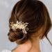 Handcess Bridal Wedding Flowers Hair Comb Gold Crystal Hairpiece Rhinestone Bridal Side Combs Wedding Hair Accessories for Women and Girls - Buy Online on GoSupps.com