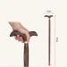 Walking Stick Cane Elderly Crutches Solid Wood Walking Stick Walker T-Handle 87 cm Long Available as Needed Truncated by Yourself Independence - Buy Online on GoSupps.com