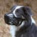 Buy TRIXIE Muzzle for Dogs - Size SM Black | Safe & Comfortable | International Shipping - Buy Online on GoSupps.com