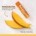 Burt's Bees Superfruit Lip Balm 4 Pack - Natural Moisturizer 0.15 oz Each - Buy Online on GoSupps.com