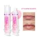Buy Lip Plumping Booster | Spicy Lip Lipstick & High-Shine Lifter Gloss - Hydrating & Volumizing Lip Makeup - Buy Online on GoSupps.com