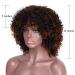 ColorfulPanda Afro Wig | Synthetic Brazilian Curly Hair for Women | Kinky Curly Short Wigs in Black Brown Ombre - Buy Online on GoSupps.com