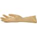 Spontex Latex Free Gloves - Medium Size, 1 Pack - Hypoallergenic & Durable - Buy Online on GoSupps.com