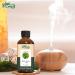 Black Spruce Essential Oil (Picea Mariana) - Pure Natural Aroma for Diffuser & Massage | 30ml - Buy Online on GoSupps.com
