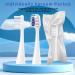 YMPBO Replacement Heads for Waterpik Complete Care 5.0/9.0 - 10 Electric Toothbrush Heads + Holder - Soft Dupont Bristles (White) - Buy Online on GoSupps.com