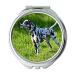 YENDOSTEEN Mirror makeup mirror Dalmation Dog Dog Animal Mammal Canine Breed Pocket Mirror portable mirror