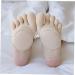 FOMIYES 6 Pairs Toeless Socks - Breathable Half Socks with Metatarsal Pads for Women | Washable & Reusable Outdoor Foot Cushions - Buy Online on GoSupps.com