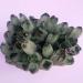 Stone Crafts 600gRare Natural Green Ghost Cluster Crystal Stone Clear Crystal Natural Specter Reiki Quartz Stones Specimen Natural Luster
