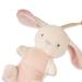 Itzy Ritzy - Bitzy Pal Pacifier & Lovey Set  Detachable Bunny Lovey & Coordinating Natural Rubber Pacifier  Ideal for Ages 0-6 Months  Bunny Bunny 1 Count (Pack of 1) - Buy Online on GoSupps.com