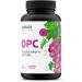OPC Grape Seed Extract - Monte Nativo 240 Vegan Capsules 800mg Extract 528mg OPC Daily - High Dose - From French & Italian Grapes - Herg.In DE 118g - Buy Online on GoSupps.com