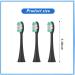 5 Pack Vibe Series Compatible Replacement Toothbrush Heads with Nylon Bristles - Black - Buy Online on GoSupps.com