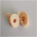 Silicone Ear Model for Acupuncture - Life Size Human Ear Model Lifelike Artificial Ear Model for Science Class Teaching Display Studs Earring Display Props - Buy Online on GoSupps.com