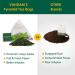 Vahdam Imperial Himalayan White Tea - 15 Tea Bags (1.06 oz) | Premium Quality - Buy Online on GoSupps.com