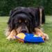 MiniFEET Dog Toy Flying Disc - Best Gift for Active Dogs | Durable & Fun Yellow & Blue Design - Buy Online on GoSupps.com