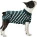 HJYOKUSO surge suits for dogs male female conical e-collar alternative for pet surgical suit postoperative abdominal wounds prevents licking (green XS) XS green
