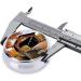 Albany Covered Bridge Round Pill Box - 3 Compartment Portable Travel Organizer for Vitamins & Medicine - Buy Online on GoSupps.com