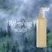 L01 Scalp Hair Tonic - Korean Herbal Formula with Copper Tripeptides-1 Ginseng Green Tea & Rosemary Oil for Healthy Hair Growth - Buy Online on GoSupps.com