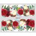 Decoration Summer Butterfly-shape Leaf Sliders Leaves Nail Sticker Rose Transfer Decal Flower Nail Water Stickers(WG2117) - Buy Online on GoSupps.com