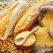Bodrum Coarse Polenta Bramata 1000 Gram - Buy Online on GoSupps.com