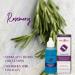 NouriTress Perfect Hair Follicle Therapy 2 FL. OZ - 59ML: Strengthen & Nourish Your Hair - Buy Online on GoSupps.com