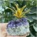 Natural Amethyst Quartz Cluster Crystal Pineapple Specimen Stones Natural Luster - Buy Online on GoSupps.com