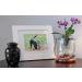 Trupoint Memorials Small Pet Urn - Loving Resting Place for Dogs and Cats Ashes (Up to 17 Pounds) - Black - Buy Online on GoSupps.com