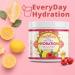 Grow Young Fitness Hydration Powder - Sugar-Free Raspberry Lemonade Electrolyte Mix | 30 Servings for Proactive Hydration - Premium Vitamins & Electrolytes - Buy Online on GoSupps.com