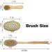 3-Piece Dry Brush Set for Cellulite & Lymphatic Massage | Natural Boar Bristles Exfoliating Body Brush with Long Handle, Face Brush & Cellulite Massager - Dead Skin Remover - Buy Online on GoSupps.com