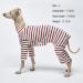 Lucky Petter Soft Dog Pajamas Large Stripe White - Stretchable Dog Onesie Jumpsuit for Small Dogs - Buy Online on GoSupps.com