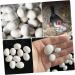 Yardwe 12pcs Fake Eggs Minieggs Household Egg Props Mini Egg Graffiti Plastic Eggs Fake Bird Eggs Parrot 1.6x1.2cm White - Buy Online on GoSupps.com