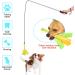 Zttark Flirt Pole for Dogs Outdoor Funny Interactive Dog Toys Extendable Teaser Wand Pet Flirt Stick Outdoor Interactive Toy for Small Medium Large Dogs Training Pulling Playing Exercise - Buy Online on GoSupps.com