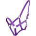 Shop Netproshop Halter & Guided Rope - Single-Colored for Mini Shetty to XL Full - Purple Color Option - Buy Online on GoSupps.com
