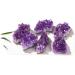 W 1/5/10PC 1PC/40-50g Natural Purple Amethyst Quartz Crystal Cluster Stone Rock Specimens Ornament Home Decor Gift Full of Texture (Color : Purple Size : 1Pc) 1Pc Purple - Buy Online on GoSupps.com