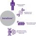Advanced Orthomolecular Research BenaGene - 30 Vegetarian Capsules for Optimal Health - Buy Online on GoSupps.com