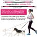 Premium Dual Grip Dog Leash for Large Dogs - Reflective Jogging Line with Adjustable Design Feces Bag Dispenser Shock-Damping Free-Handed - Black/Pink - Buy Online on GoSupps.com