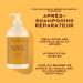 SheaMoisture Shampooing Apr s-shampooing et Masque de Traitement en Profondeur pour cheveux ab m s Beurre de Karit Brut Shampooing 1x384 ml Apr s-shampooing 1x384 ml Masque de traitement 1x355 ml 5) Curl Trio Lot de 3 - Buy Online on GoSupps.com