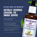 New Roots Herbal Wild Oregano C93 (50 ml) Liquid - High Carvacrol Concentration for Immune Defense | Mediterranean Source - Alcohol Free, Organic, Non-GMO, Vegan, Gluten Free - 1.7 Fl Oz - Buy Online on GoSupps.com