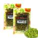 Veenas | Green Raisins| 200G | Indian Origin | Dried Grapes | Seedless Raisins (Pack of 2)