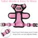 Breakproof Cat Dish Set with Adjustable Reflective Vest for Small Kittens - Pink XXS - Buy Online on GoSupps.com