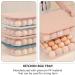 Healeved 3pcs Refrigerator Fridge Home Food Crisper Storage Trays Green Egg Blue Pink Stackable re-usable Assorted Color 30x21.3x6cm - Buy Online on GoSupps.com