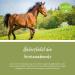 Buy Tierlieb Selenium Tablets for Horses | Vitamin E & ADMR Compliant | 500 Dietary Supp. Feed Tablets - Buy Online on GoSupps.com