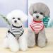 Voarge Soft Cotton Dog T-Shirt - Summer Striped Tank Top for Small & Medium Dogs | Cute Puppy Clothing in Blue (Size S) - Buy Online on GoSupps.com