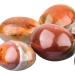 June&Ann Natural Ocean Jasper Palm Stones - Healing Gemstone for Meditation and Chakra Balancing - Buy Online on GoSupps.com