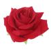 Artificial Large Rose Hairpin Hair Clips Brooch for Women Party (Red)