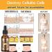 Premium Lymph Cleanse Herbal Detox Oil - Apolloostory Ginger Massage Oil for Relaxation & Stress Relief (1 Pc) | International Shipping Available - Buy Online on GoSupps.com