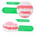 Ultechnovo 3D Tooth Model for Adult Education | Dental Teaching Model & Typodont for Dentists - International Shipping Available - Buy Online on GoSupps.com