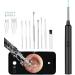 Ear Wax Removal Tool  Smart Visual Ear Cleaner  1080P FHD Wireless Ear Otoscope with 6 LED Lights  5 Ear Spoon & 8 Traditional Tools  IP67 Waterproof WiFi Ear Camera for iPhone  iPad & Android  Black